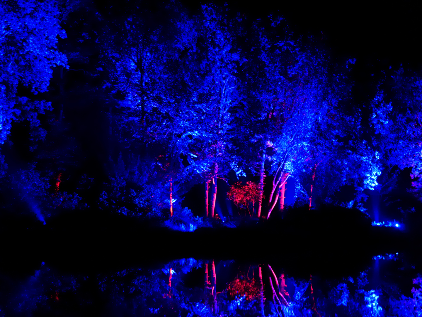 Lichtkunst im Schloßpark Lütetsburg