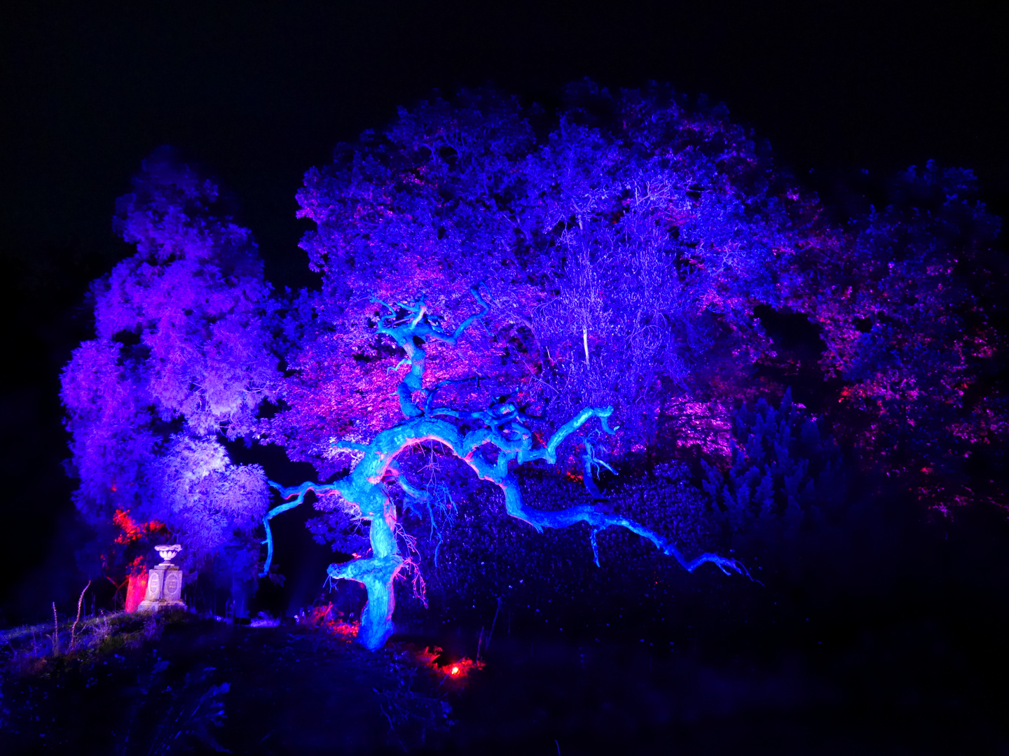 Lichtkunst im Schloßpark Lütetsburg