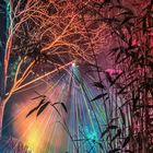 Lichtkunst mit Farben und Nebel