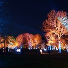 Lichtkunstfestival Loreley 2019/2