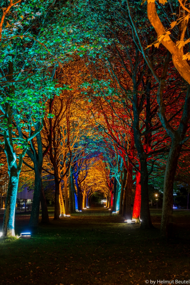 licht_kunst_park 2.14 bunte Allee