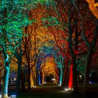 licht_kunst_park 2.14 bunte Allee