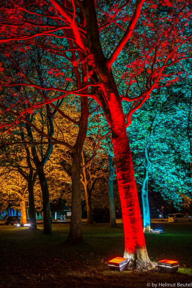 licht_kunst_park 2.14 colorful trees