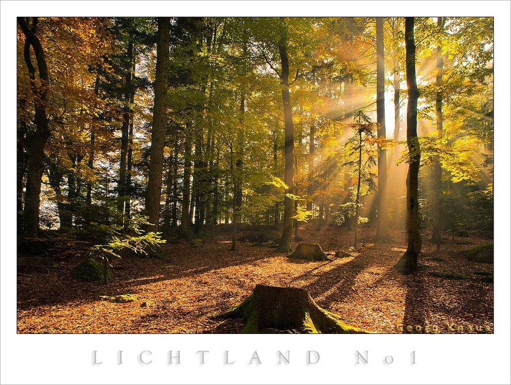 LICHTLAND # 1