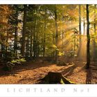 LICHTLAND # 1