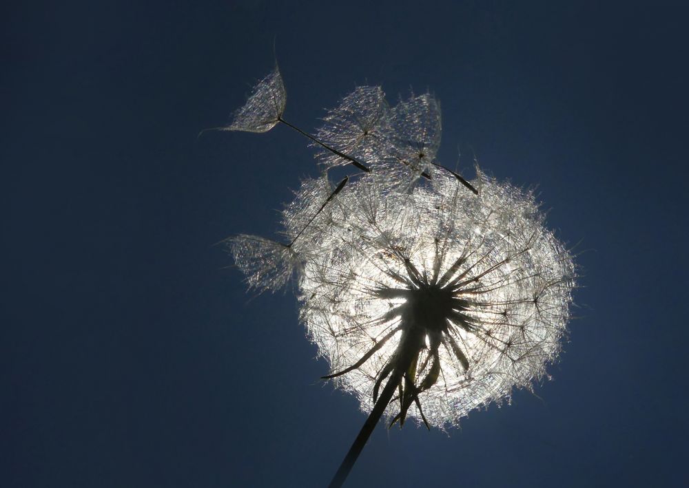 Lichtlein zum Sonntag