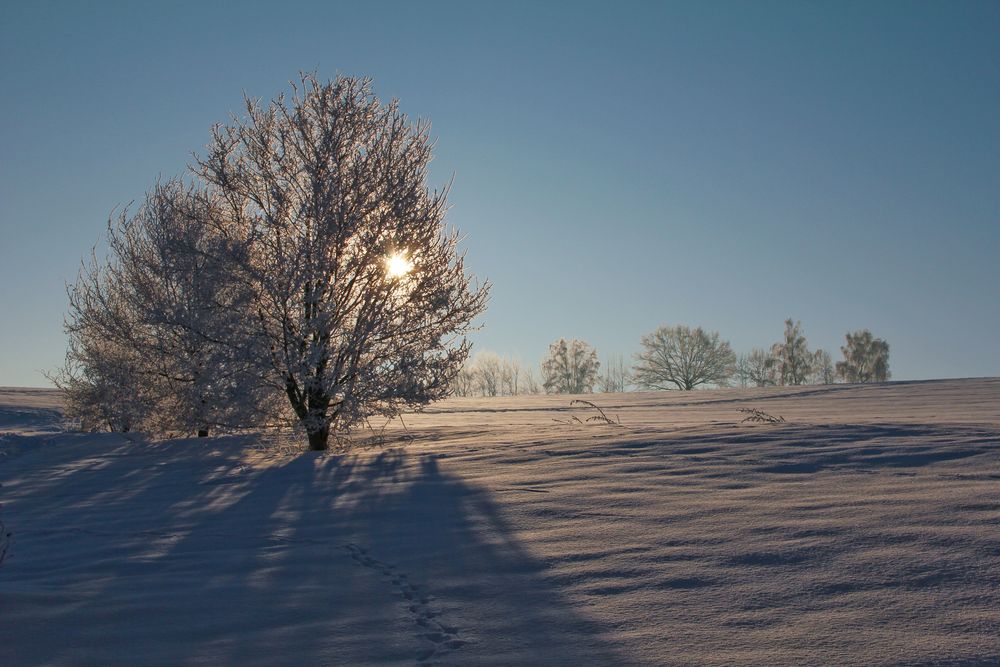 Lichtmomente im Schnee von SylviaW 