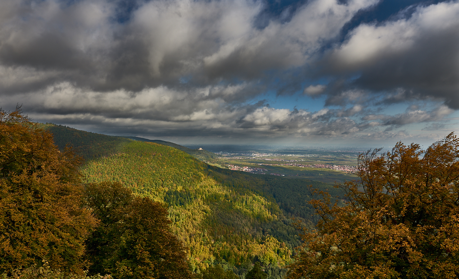 Lichtmomente in der Pfalz die 2.