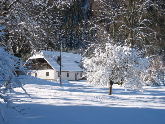 Lichtmomente-zum-Bodenbauer