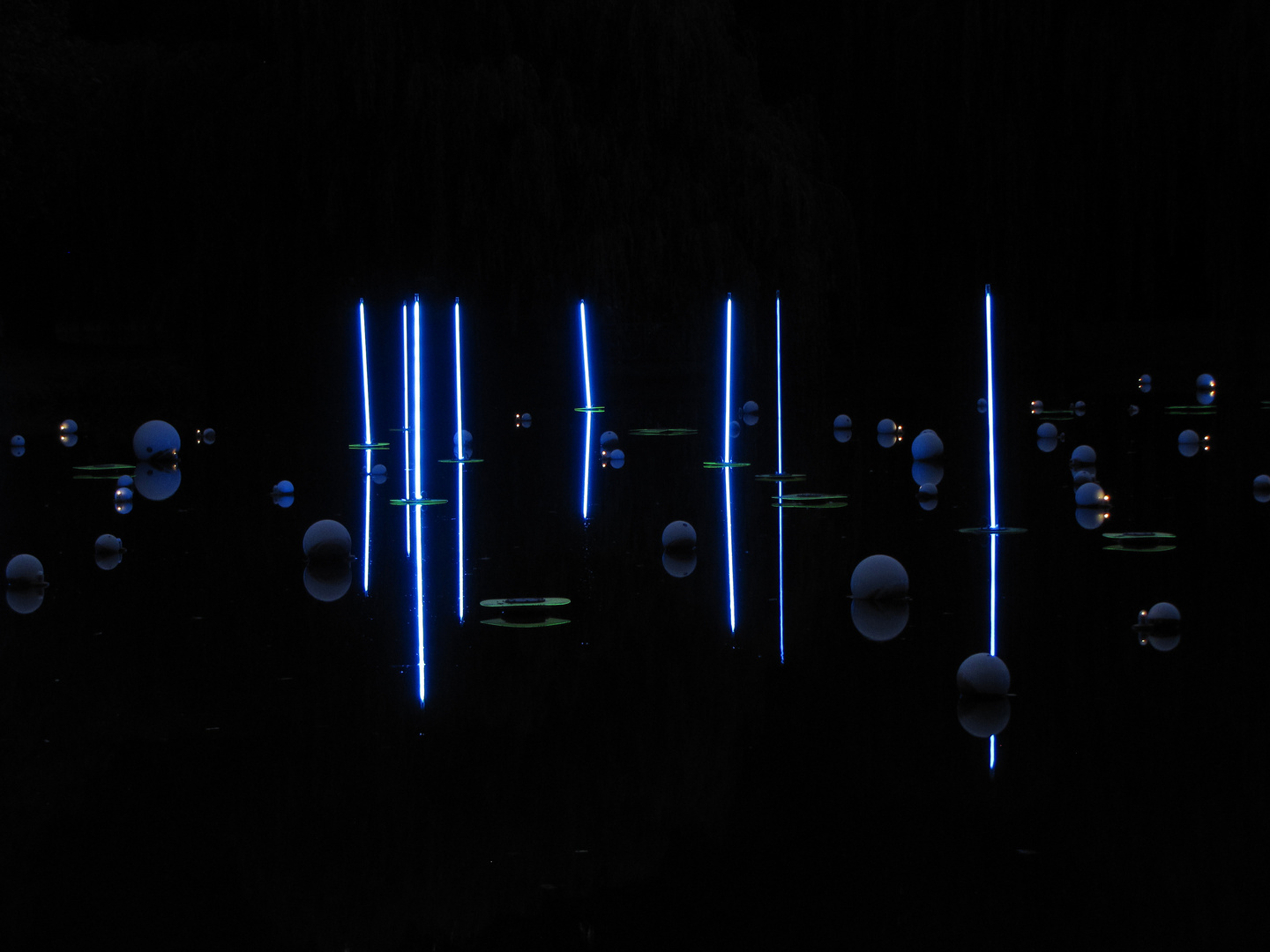 Lichtprcours 2010