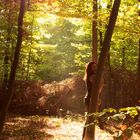 Lichtpunkt im Wald