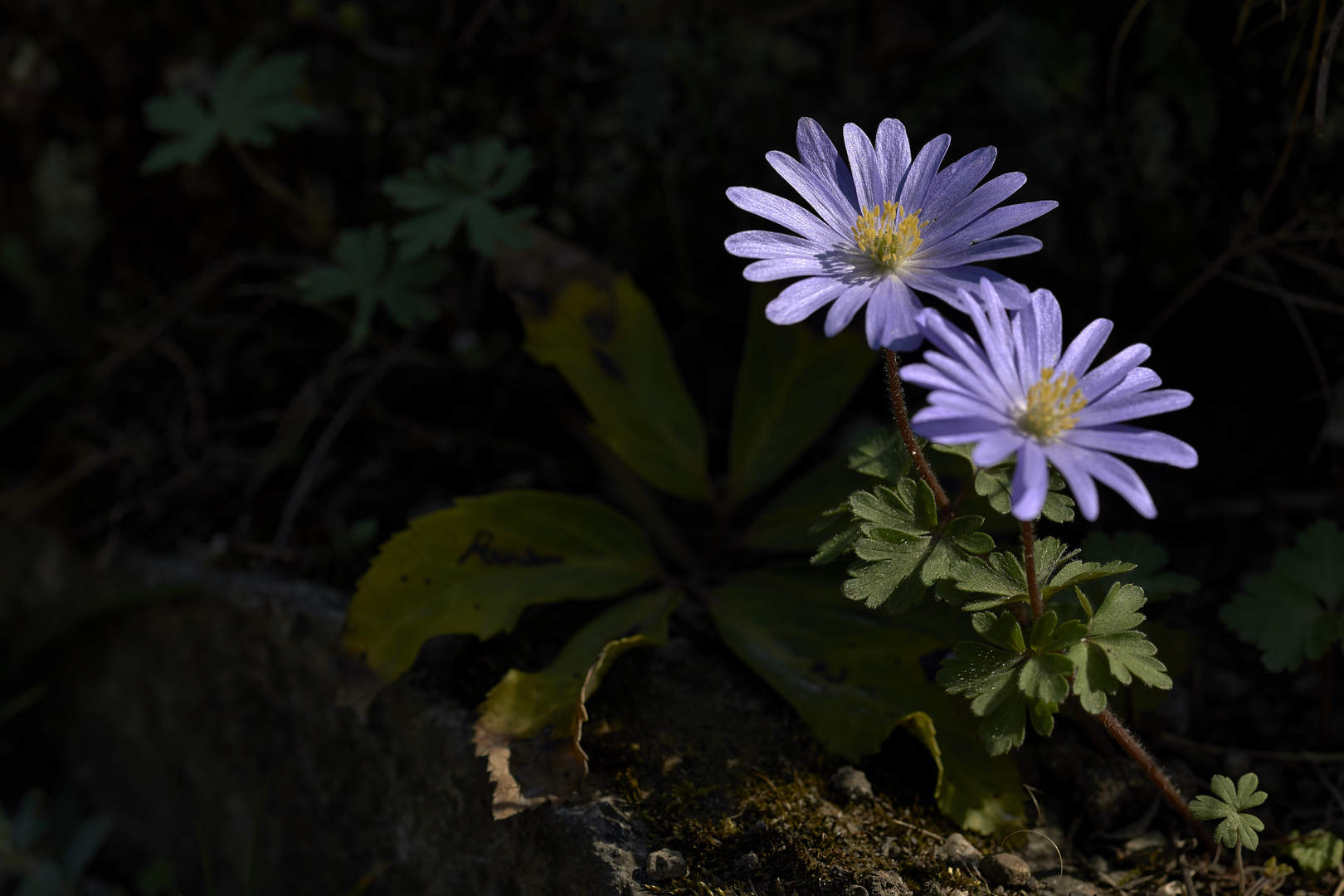 Lichtquellen