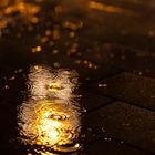 Lichtreflektion im Regen