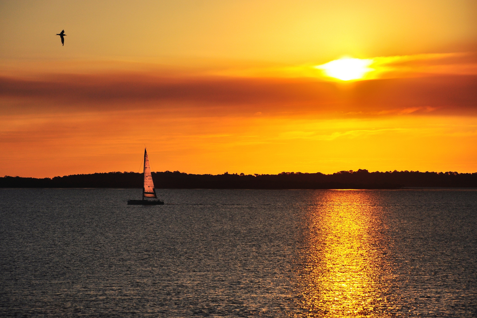 Lichtreflexe bei Sonnenuntergang