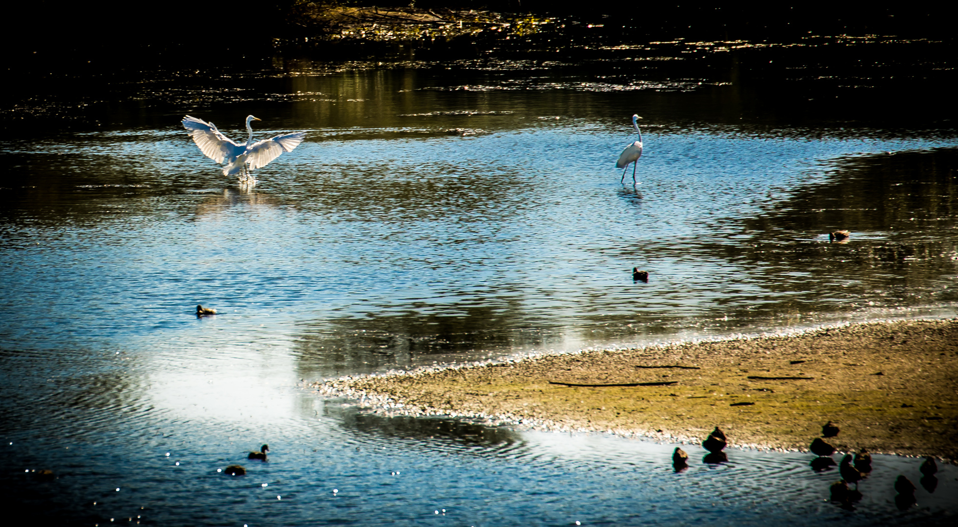 "Lichtreize am Altmühlsee"