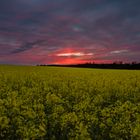 Lichtsäule zum Sonnenuntergang