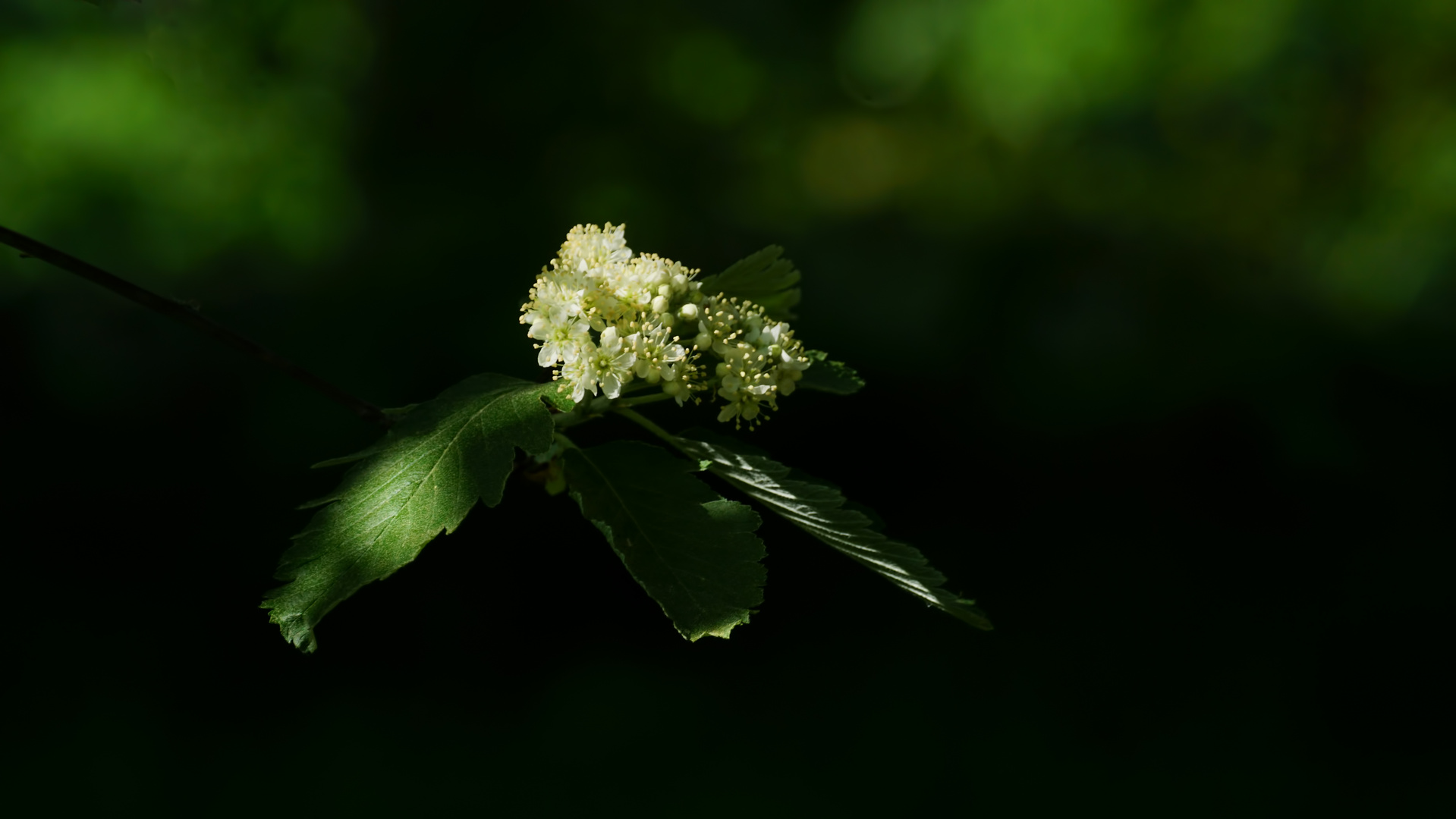 Licht&Schatten