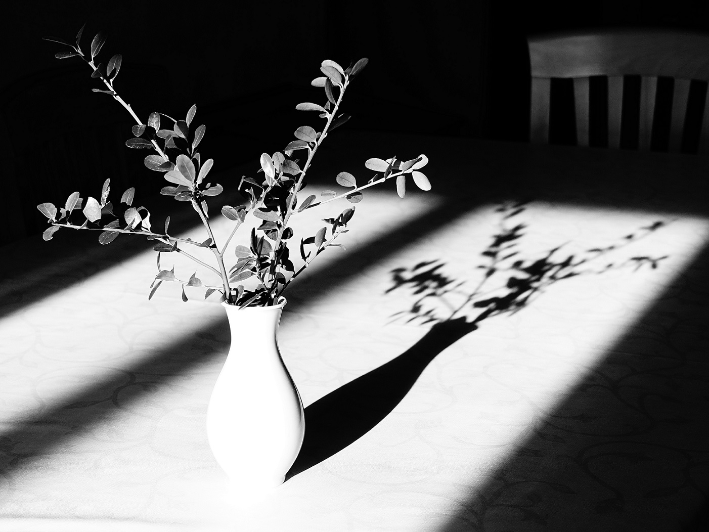 Licht&Schatten