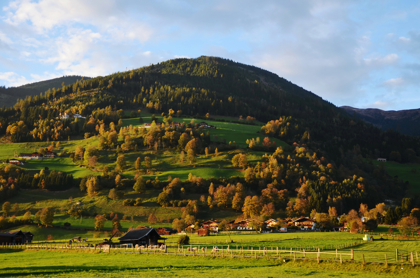 Licht,Schatten und eine schöne Stimmung!