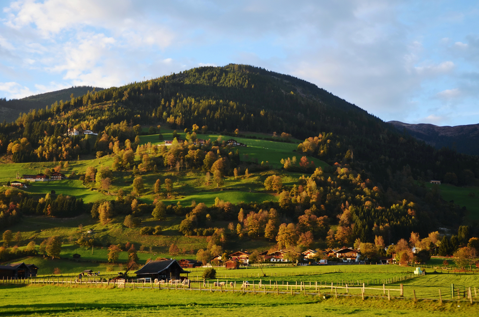 Licht,Schatten und eine schöne Stimmung!