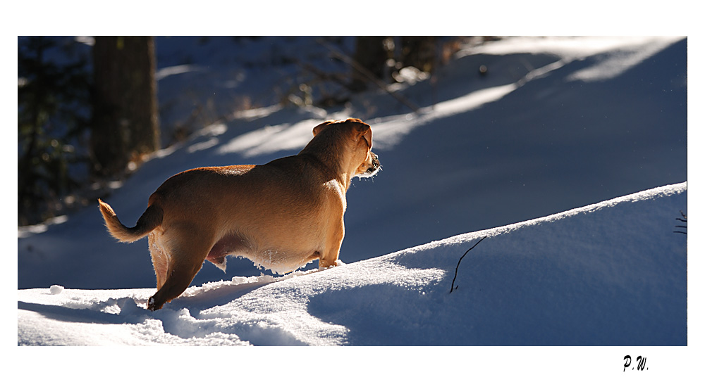 Licht_Schatten_Schnee