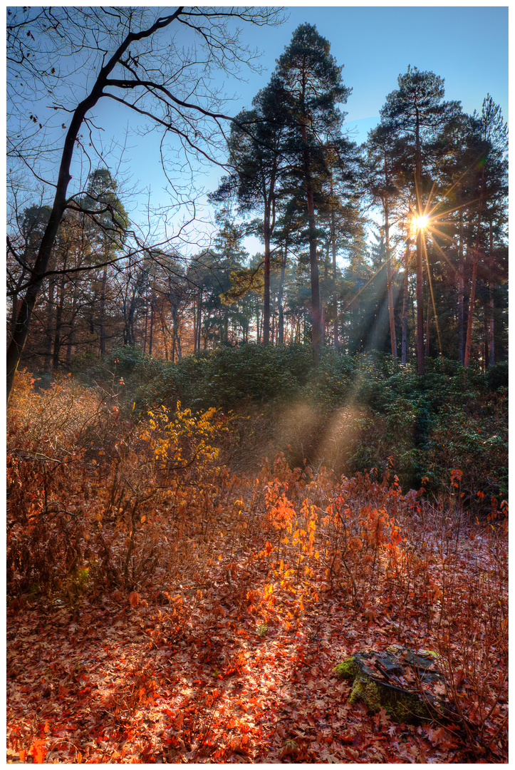 Lichtschein