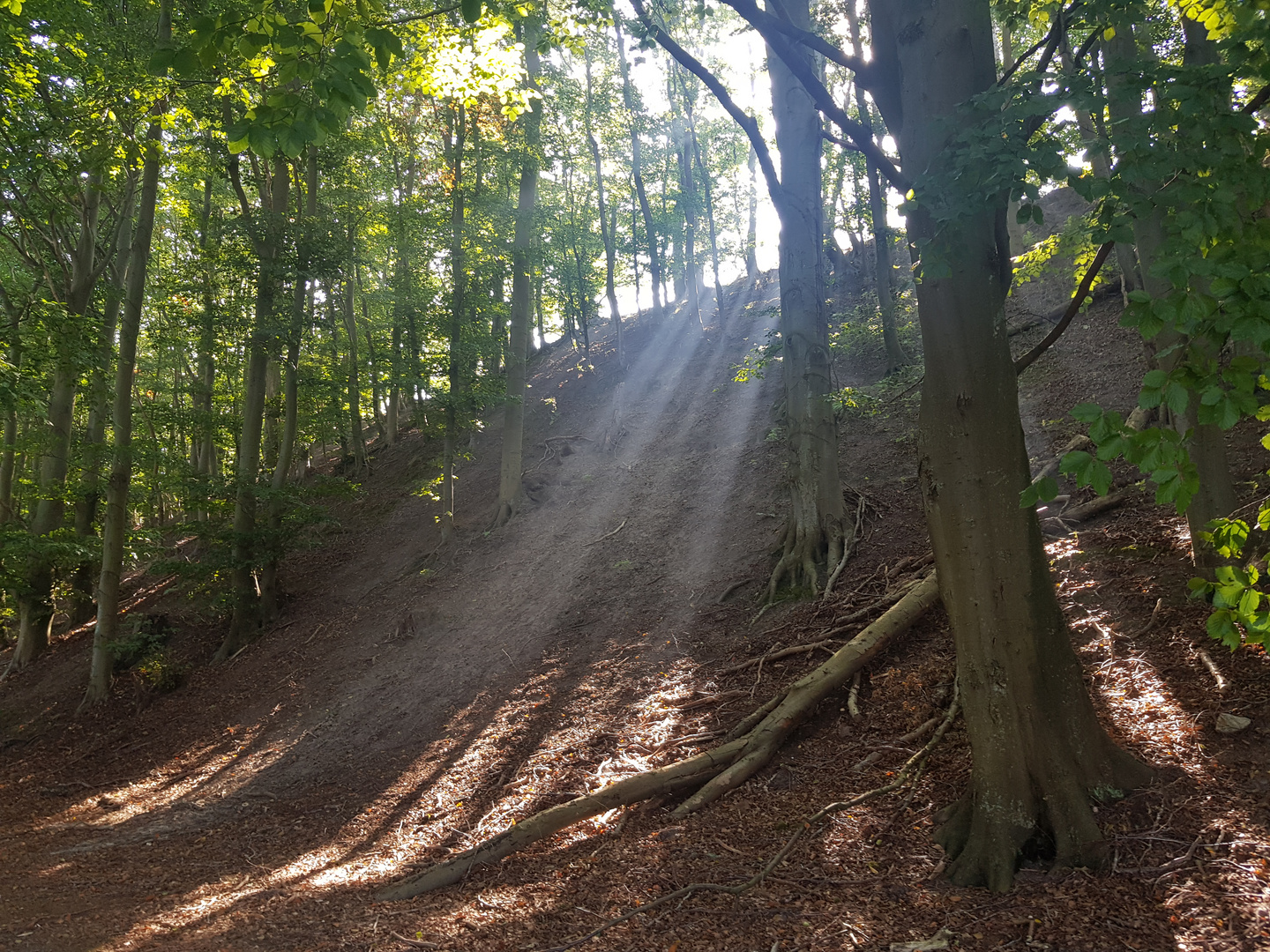 Lichtschein