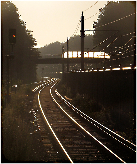 Lichtschlangen