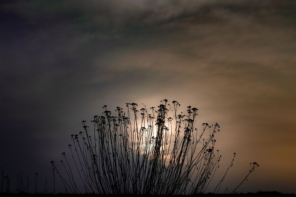 Lichtschmuck