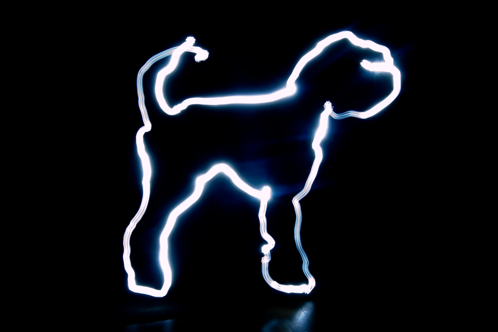 lichtschnauz