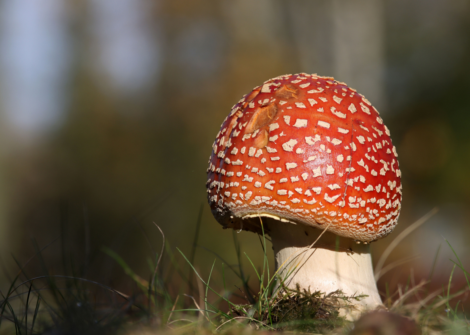 Lichtschutzfaktor vergessen?