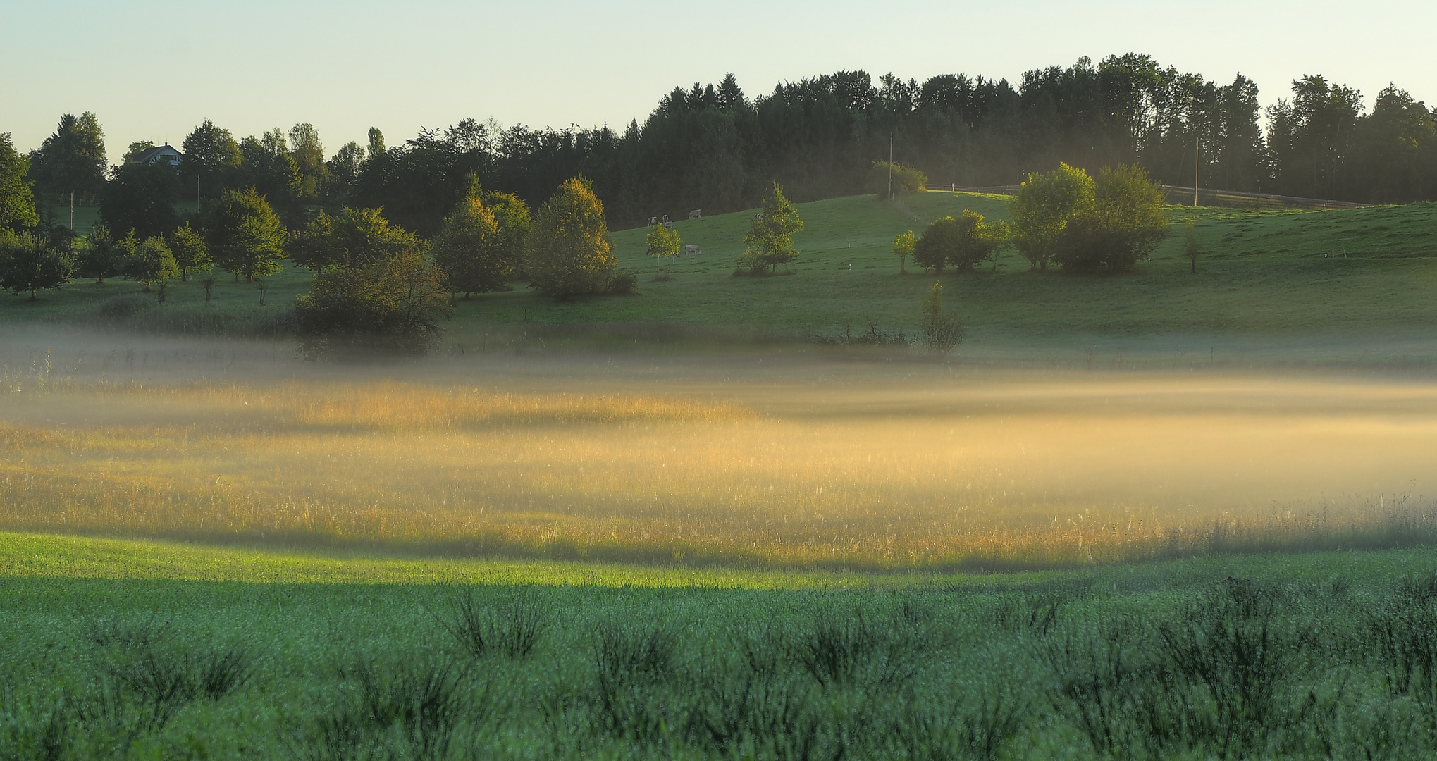 Lichtsee