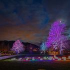 Lichtshow, Son et Lumière