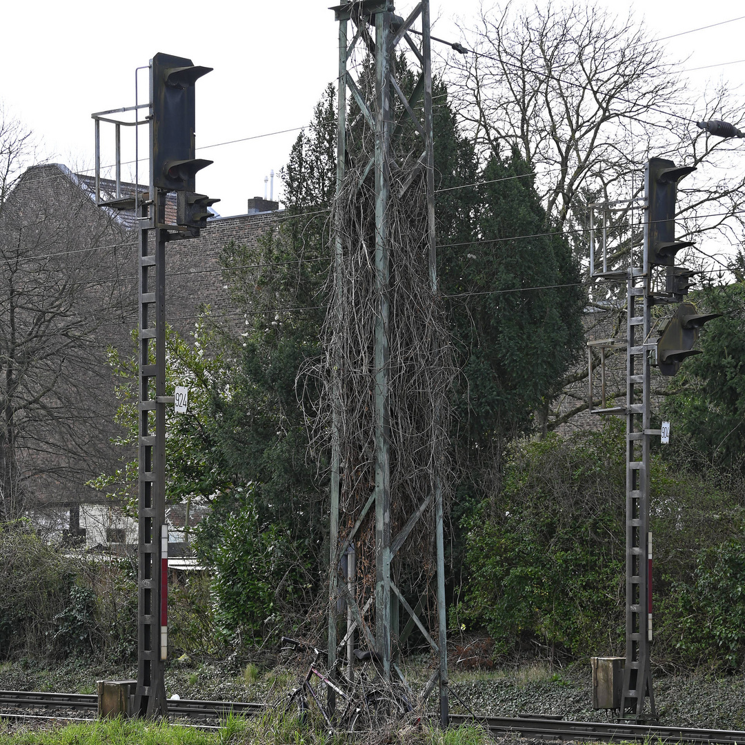 Lichtsignale an einer vielbefahrenen DB-Strecke in Bonn.