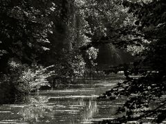 Lichtsituation vormittags im Park