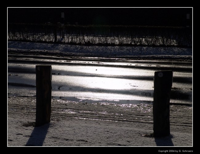 Lichtspiegelung auf der Straße