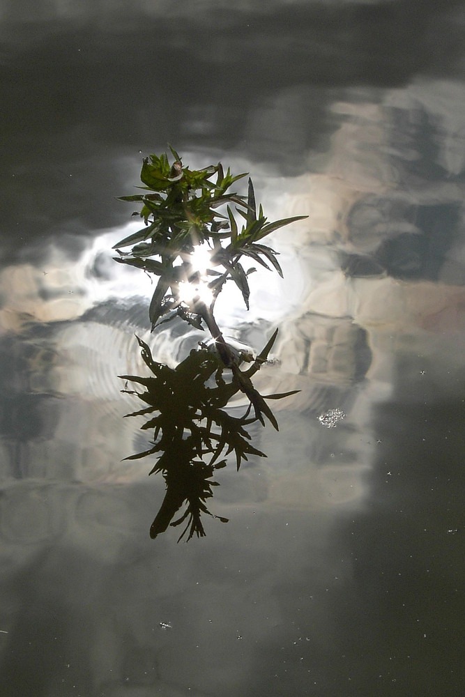 Lichtspiegelung