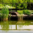 Lichtspiegelung im Teich