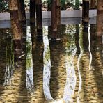 Lichtspiegelungen und Schattenspiel - BUGA Schwerin