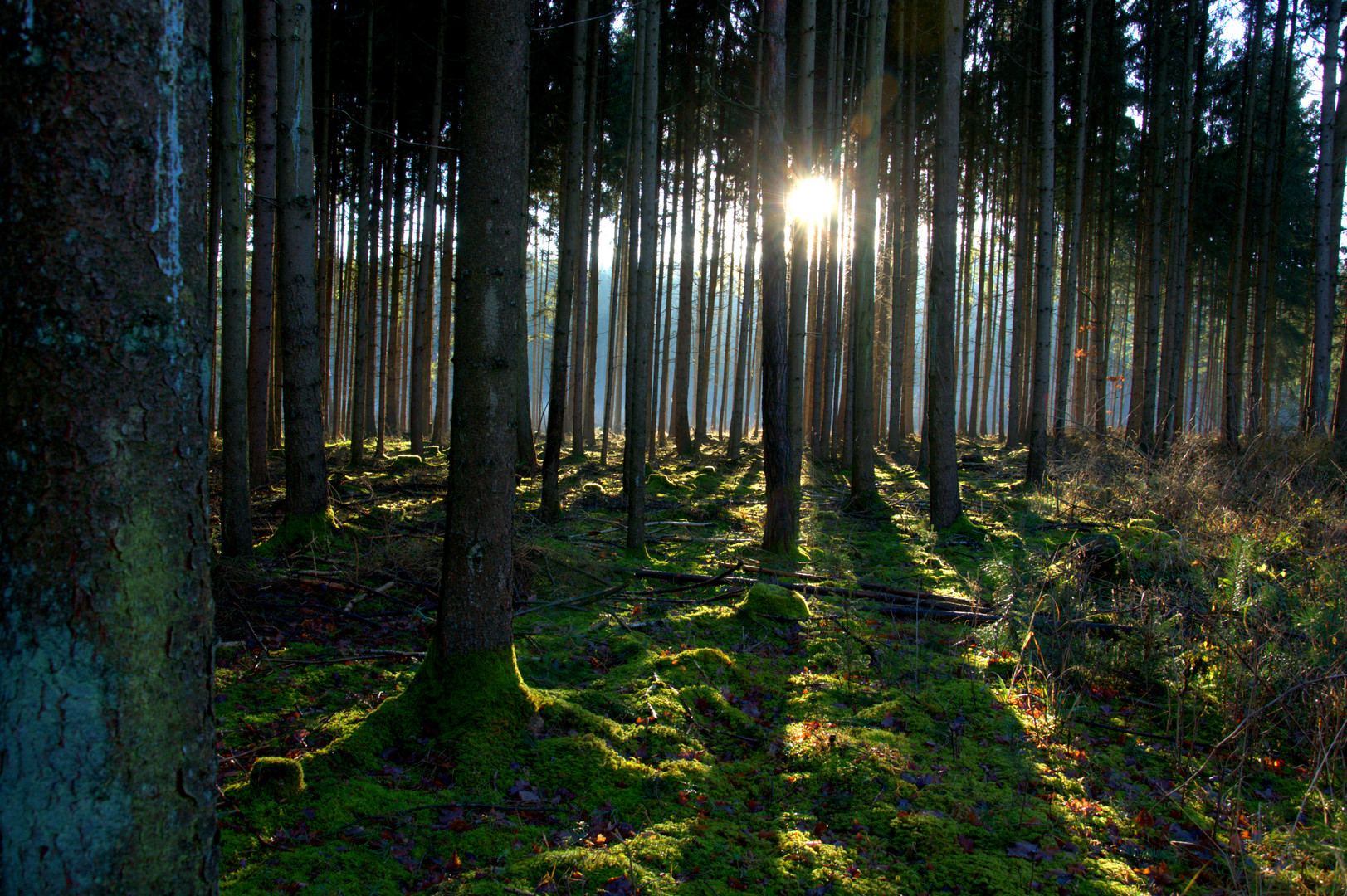 Lichtspiel 1