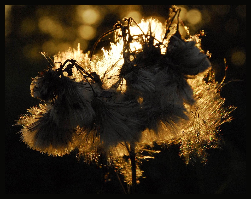 Lichtspiel!