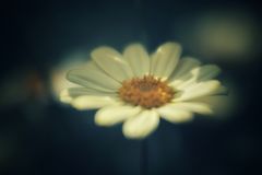 Lichtspiel