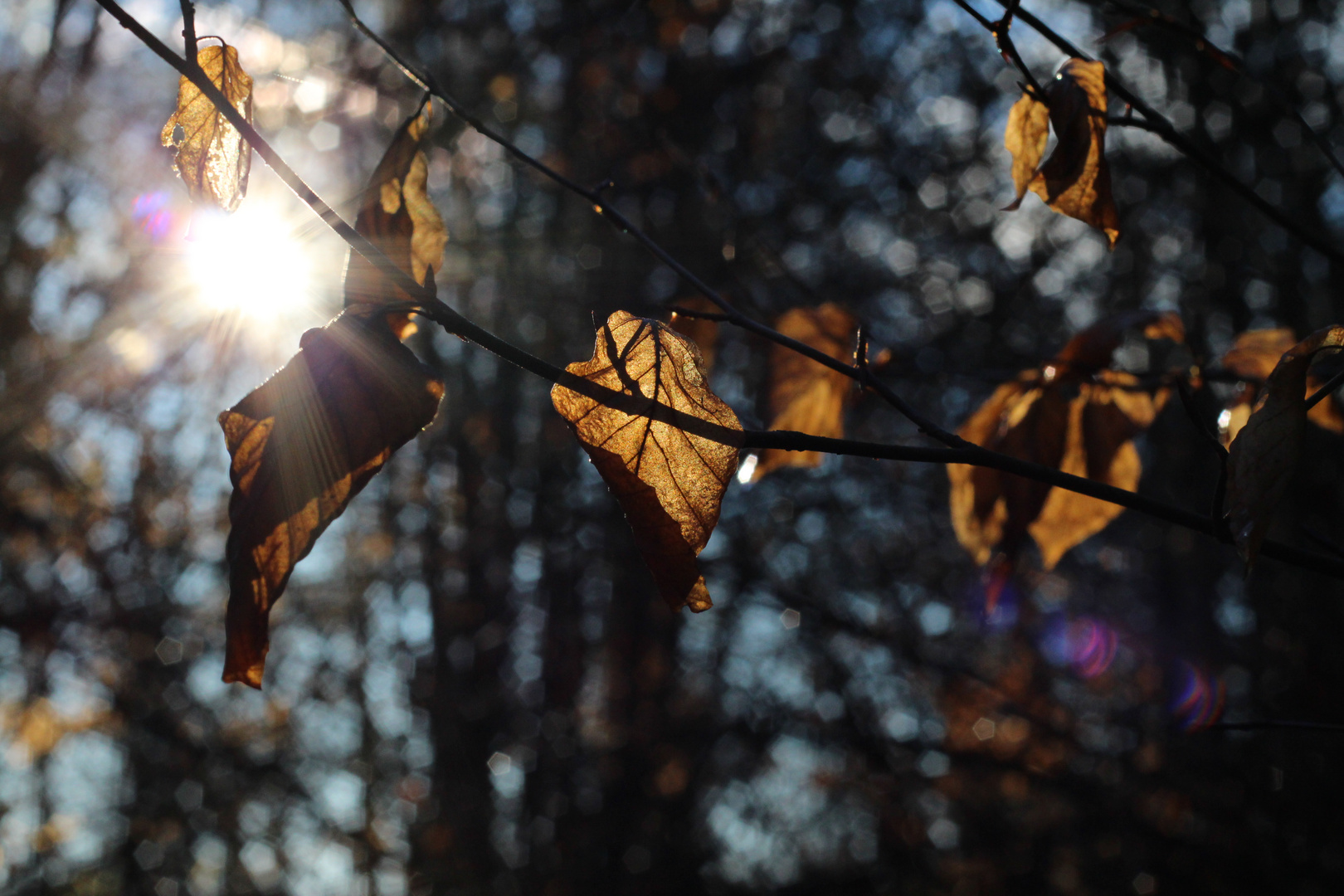 Lichtspiel