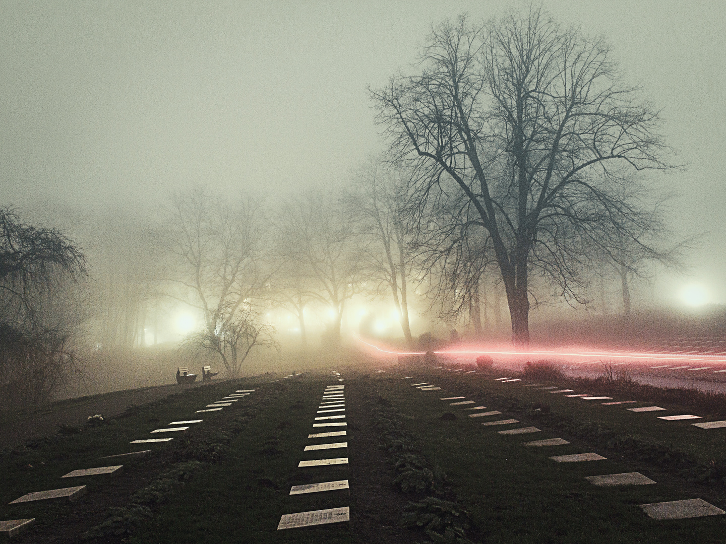 Lichtspiel am alten Friedhof