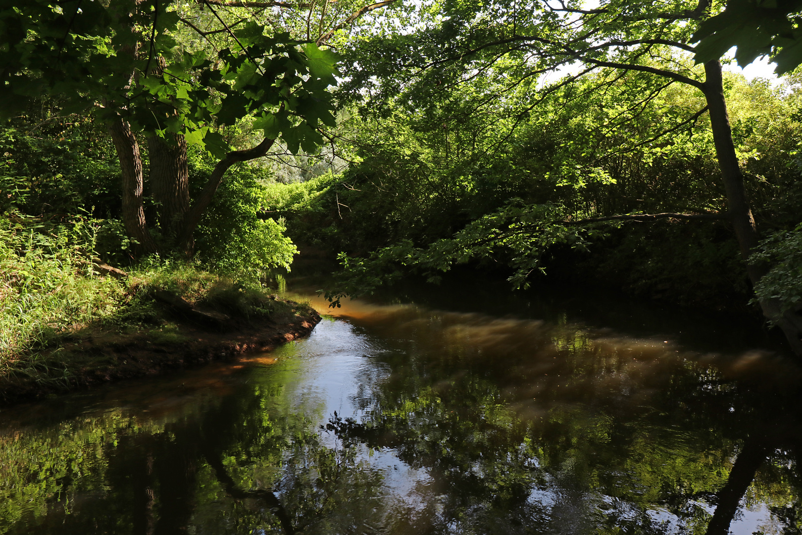 Lichtspiel am Fluss