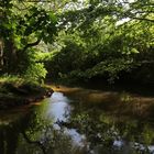 Lichtspiel am Fluss