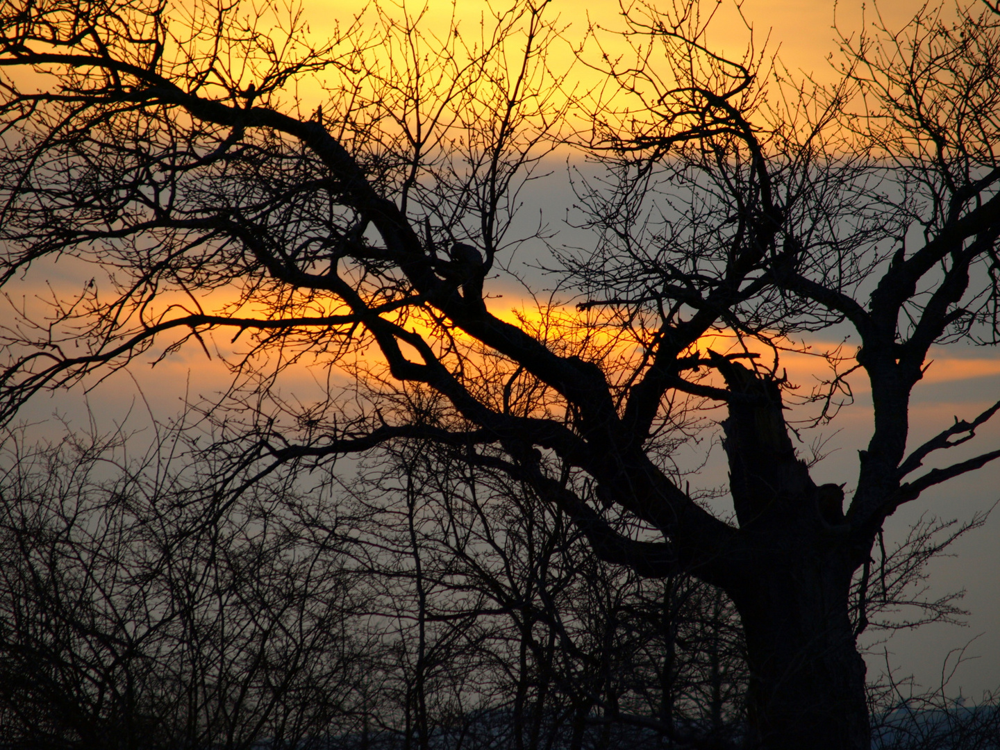 Lichtspiel am Himmel