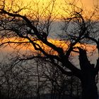 Lichtspiel am Himmel