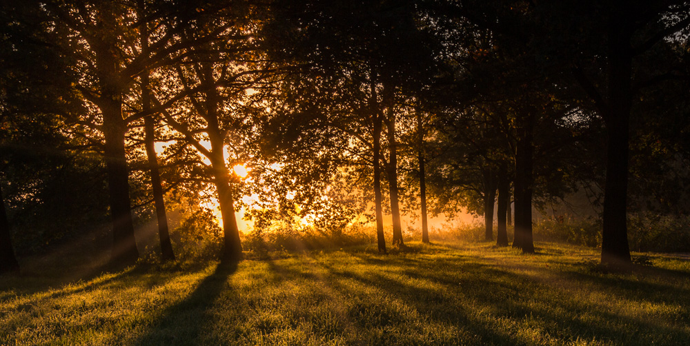 Lichtspiel am Morgen