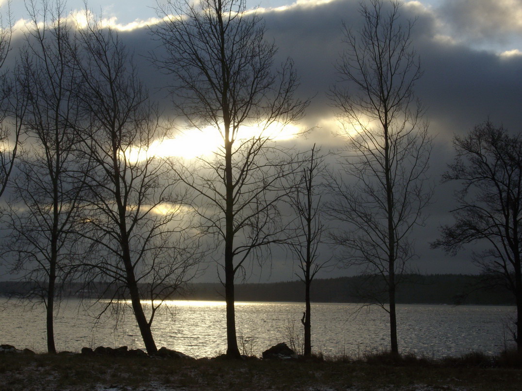 Lichtspiel am See